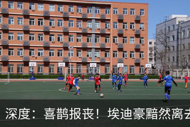 深度：喜鹊报丧！埃迪豪黯然离去 大病纽卡一地鸡毛