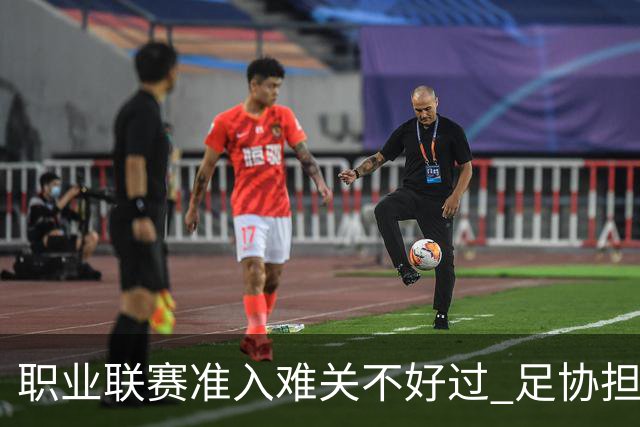职业联赛准入难关不好过 足协担心并不是多余